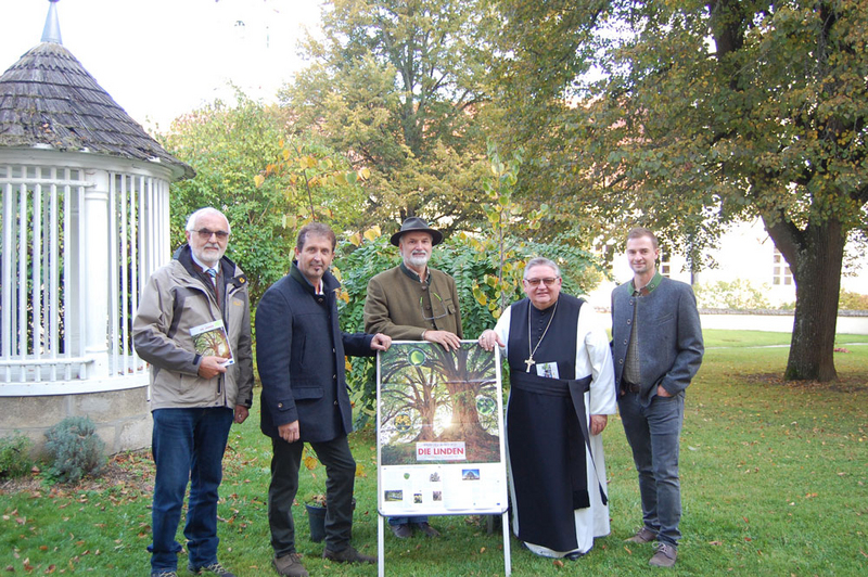 Baum des Jahres - die Linde